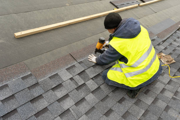 Best Roof Ventilation Installation  in Dunbar, WV