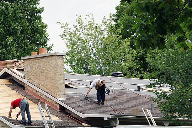 Best Roof Insulation Installation  in Dunbar, WV