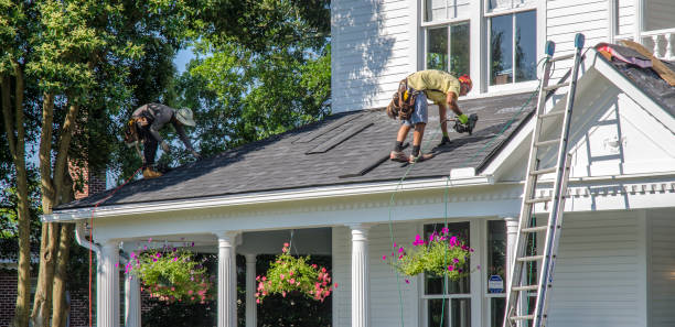 Best Roof Insulation Installation  in Dunbar, WV